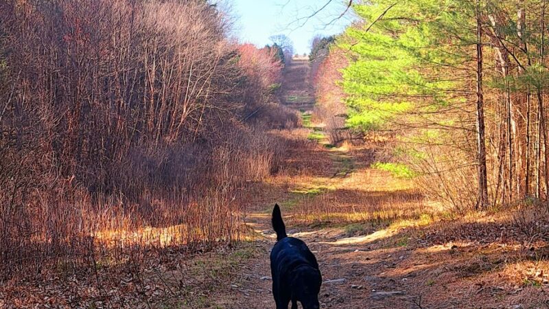 Wolven park - Pelham, NH