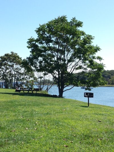 Shore Park - Pelham, NY