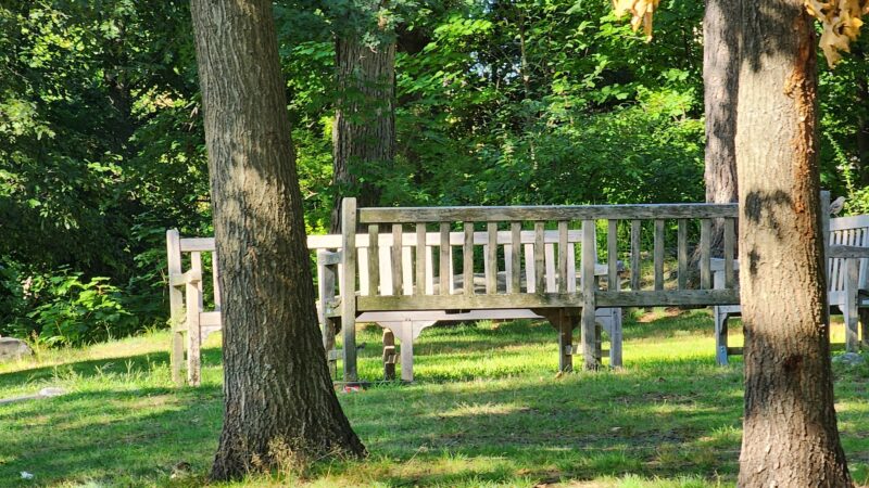 Wolfs Lane Park - Pelham, NY