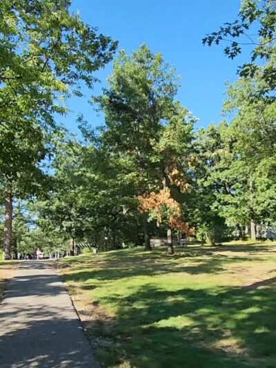 Wolfs Lane Park - Pelham, NY