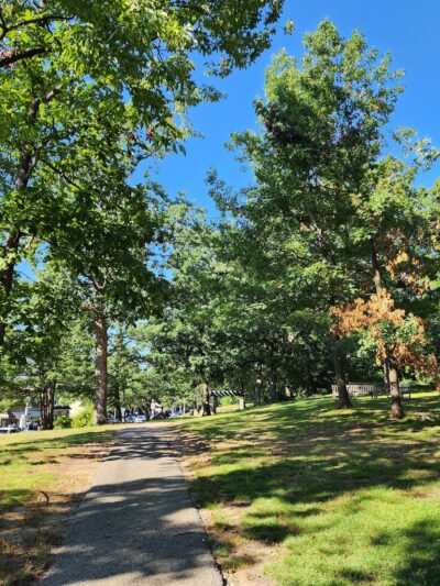 Wolfs Lane Park - Pelham, NY