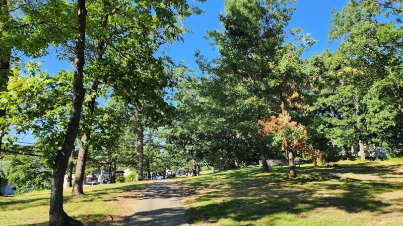 Wolfs Lane Park - Pelham, NY