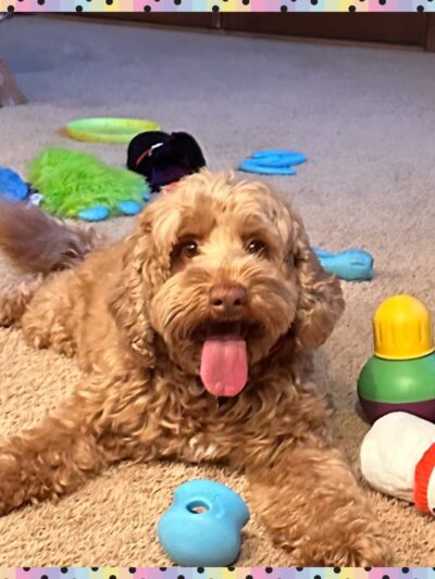 Iowa's Lake Park - Pella, IA