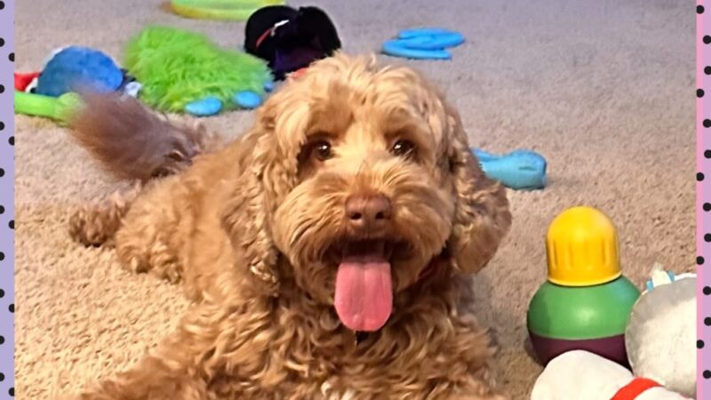 Iowa's Lake Park - Pella, IA