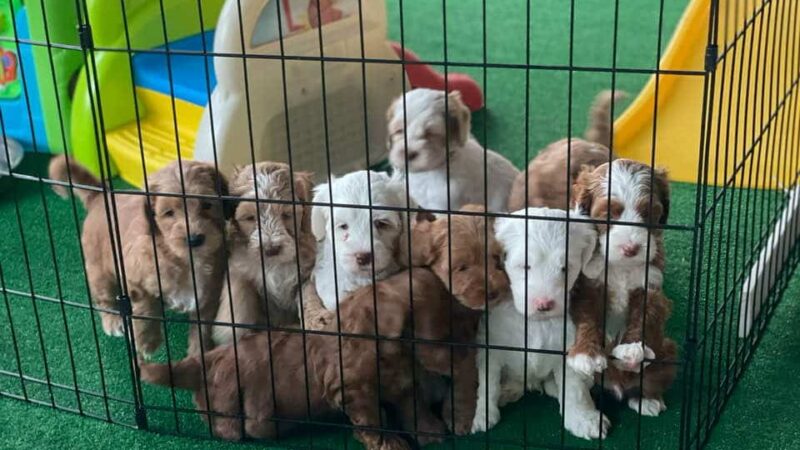 Iowa's Lake Park - Pella, IA