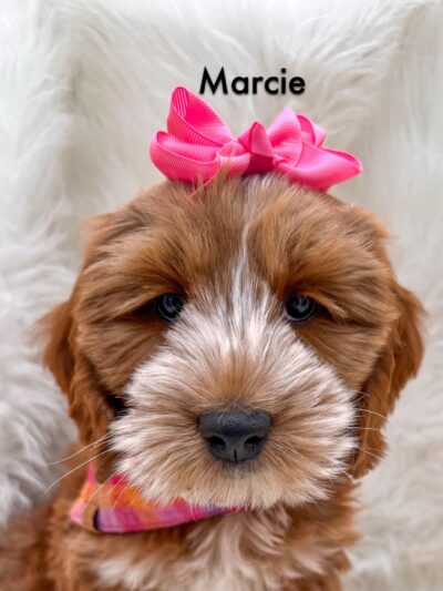 Iowa's Lake Park - Pella, IA