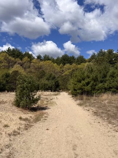 Tubbs Meadow Monroe Street Trailhead - Pembroke, MA