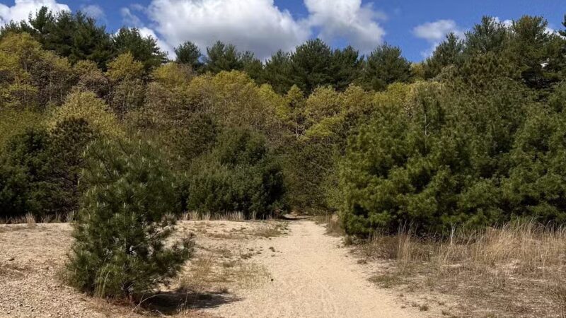 Tubbs Meadow Monroe Street Trailhead - Pembroke, MA