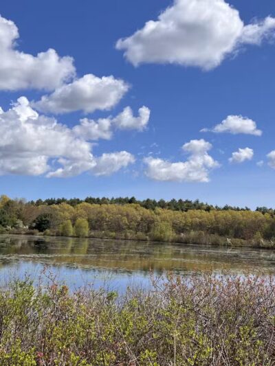 Tubbs Meadow Monroe Street Trailhead - Pembroke, MA