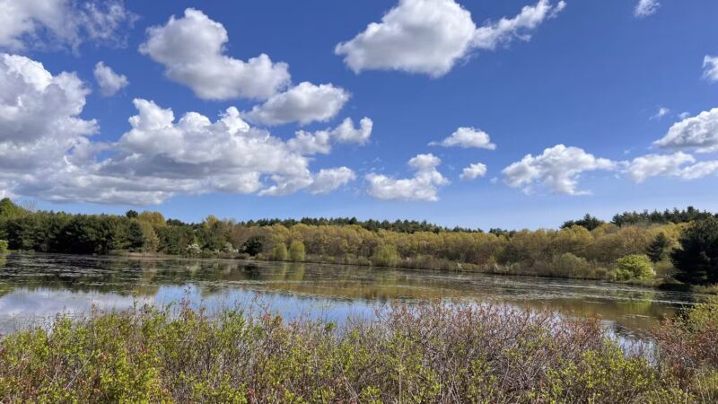 Tubbs Meadow Monroe Street Trailhead - Pembroke, MA