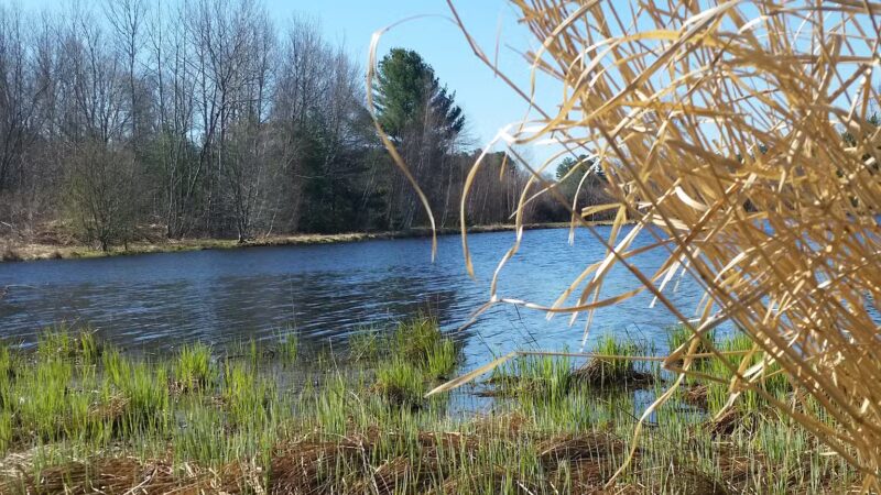 Tubbs Meadow Monroe Street Trailhead - Pembroke, MA