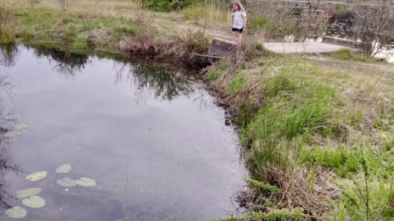 Tubbs Meadow Monroe Street Trailhead - Pembroke, MA