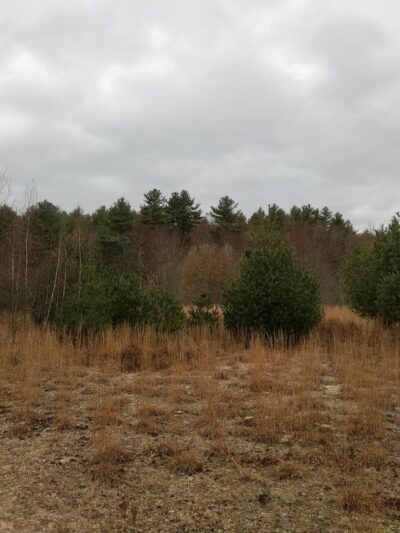 Tubbs Meadow Monroe Street Trailhead - Pembroke, MA