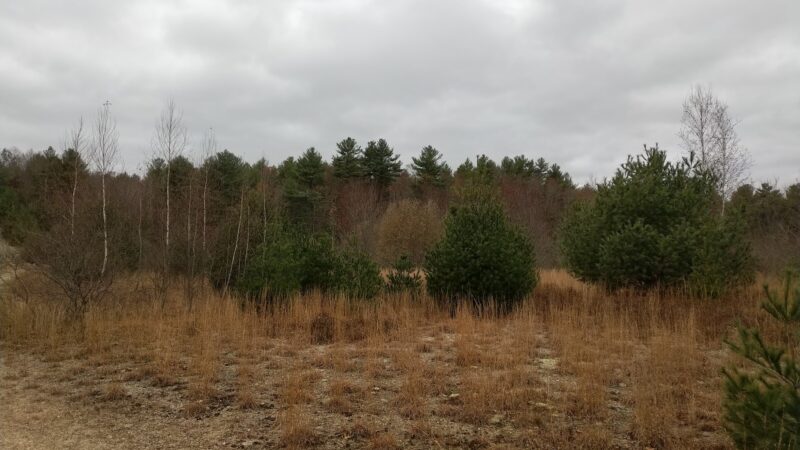 Tubbs Meadow Monroe Street Trailhead - Pembroke, MA