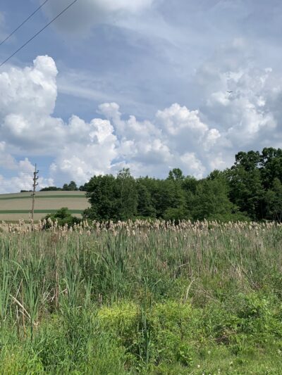 Plainfield Township Trail #2 - Pen Argyl, PA