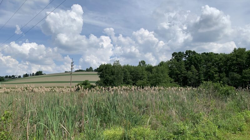 Plainfield Township Trail #2 - Pen Argyl, PA