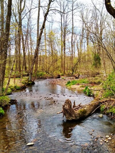 Plainfield Township Trail - Edelman's Trailhead - Pen Argyl, PA