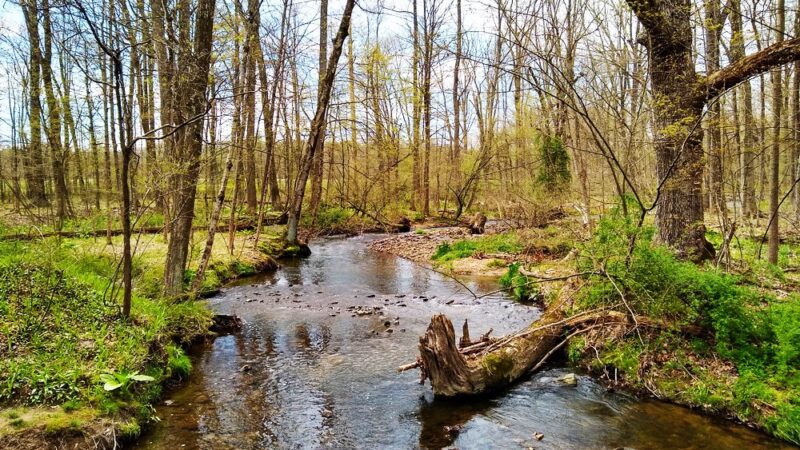 Plainfield Township Trail - Edelman's Trailhead - Pen Argyl, PA