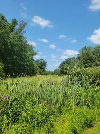 Plainfield Township Trail - Edelman's Trailhead - Pen Argyl, PA