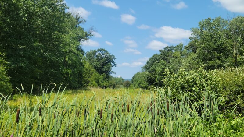 Plainfield Township Trail - Edelman's Trailhead - Pen Argyl, PA