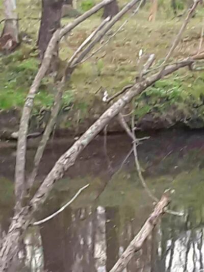 Fernbrook Park - Pennsburg, PA