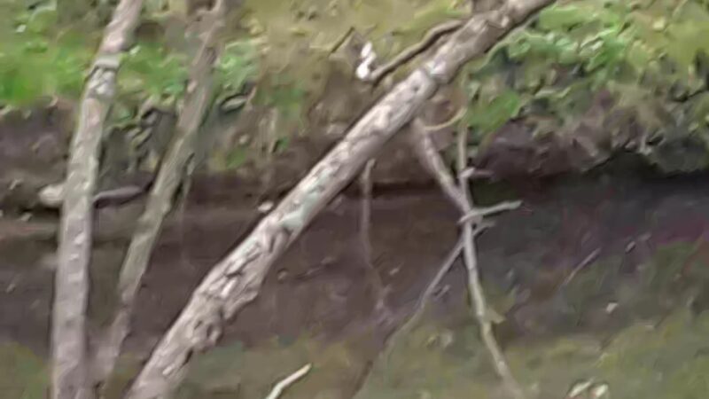 Fernbrook Park - Pennsburg, PA