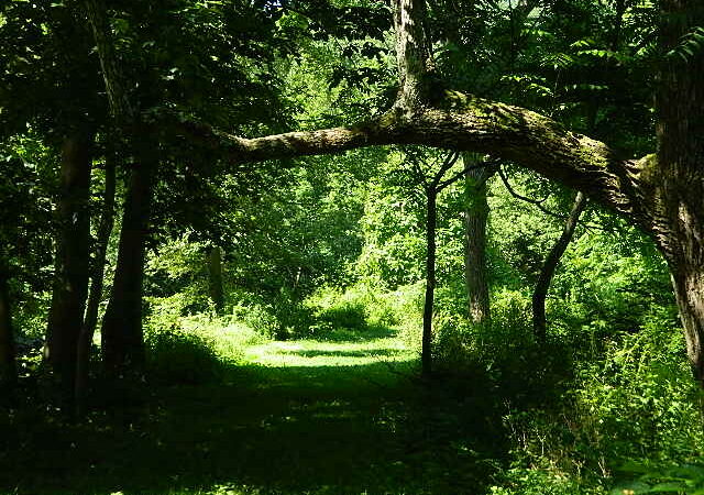 Fernbrook Park - Pennsburg, PA
