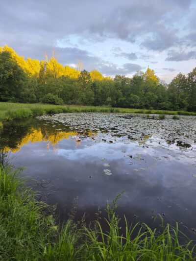 Fernbrook Park - Pennsburg, PA