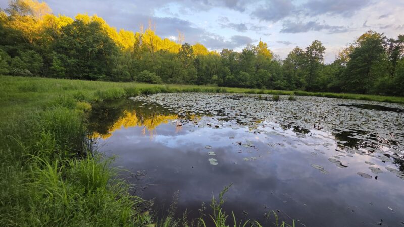 Fernbrook Park - Pennsburg, PA