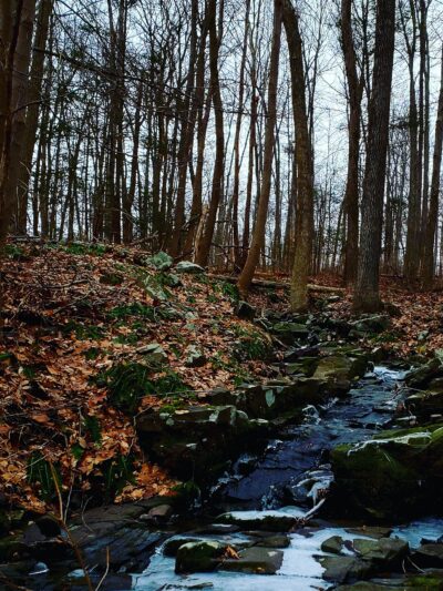 Green Lane Park - Blue Trail - Pennsburg, PA