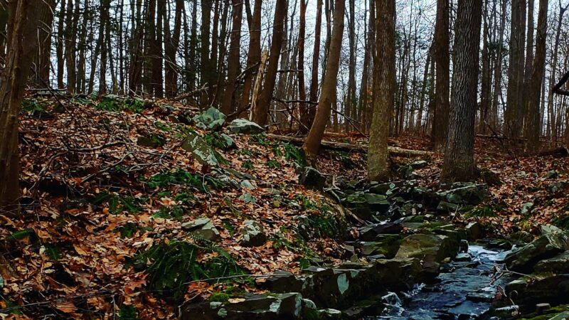 Green Lane Park - Blue Trail - Pennsburg, PA