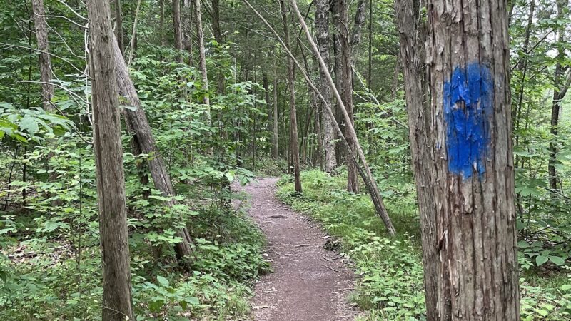 Green Lane Park - Blue Trail - Pennsburg, PA