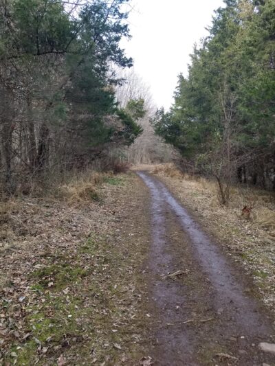 Green Lane Park - Ward Road Trailhead - Pennsburg, PA