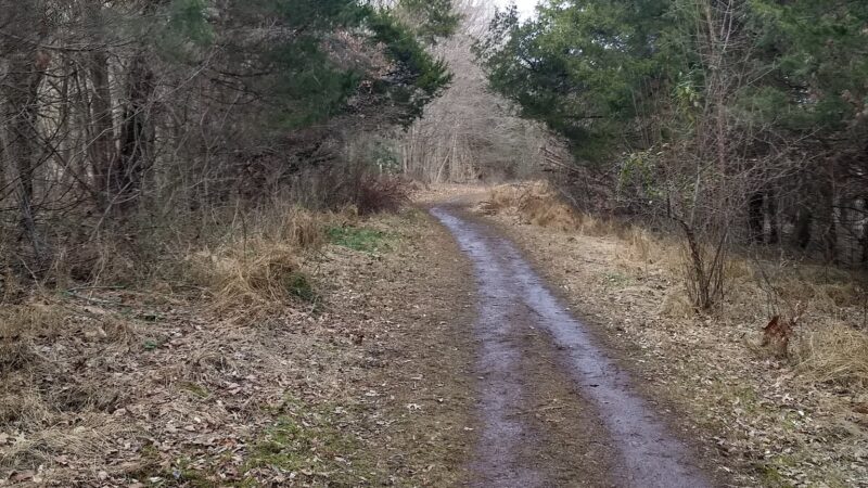 Green Lane Park - Ward Road Trailhead - Pennsburg, PA