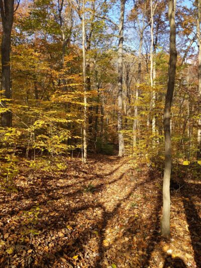 Green Lane Park - Ward Road Trailhead - Pennsburg, PA