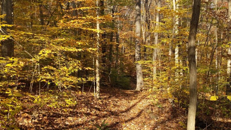 Green Lane Park - Ward Road Trailhead - Pennsburg, PA