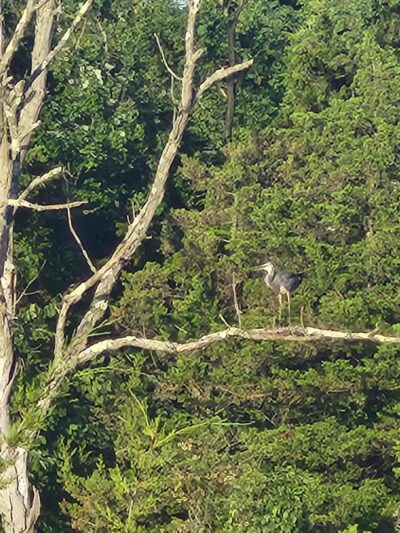 Green Lane Park - Pennsburg, PA