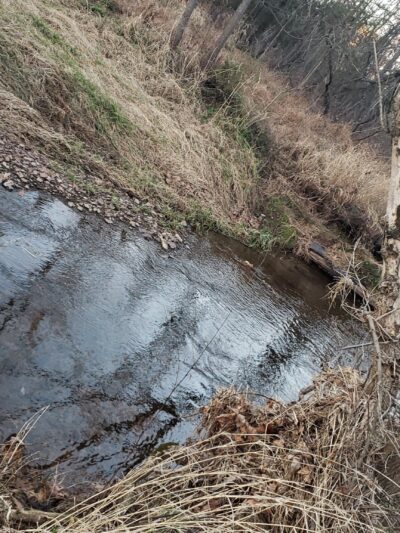 Pennsburg Nature Preserve - Pennsburg, PA