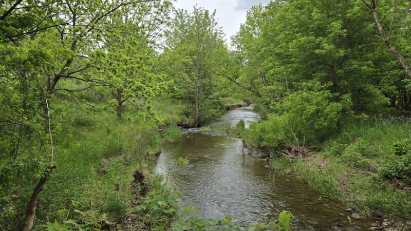 Pennsburg Nature Preserve - Pennsburg, PA
