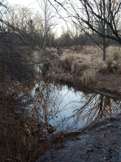 Pennsburg Nature Preserve - Pennsburg, PA