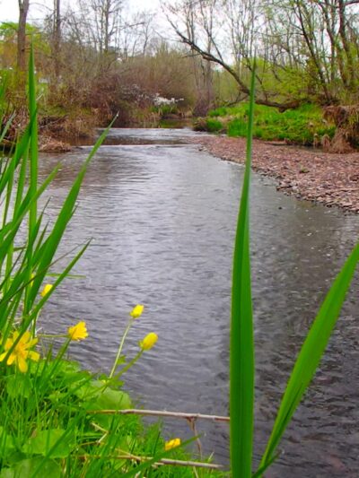 Pennsburg Nature Preserve - Pennsburg, PA