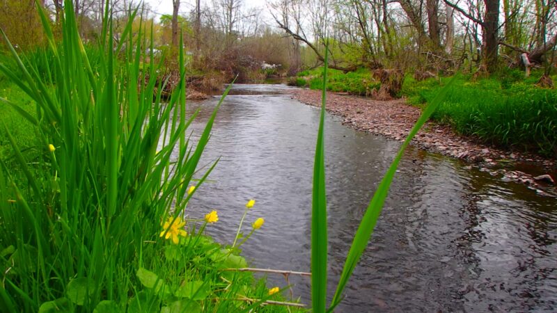 Pennsburg Nature Preserve - Pennsburg, PA