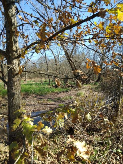 Pennsburg Nature Preserve - Pennsburg, PA
