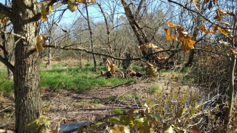 Pennsburg Nature Preserve - Pennsburg, PA