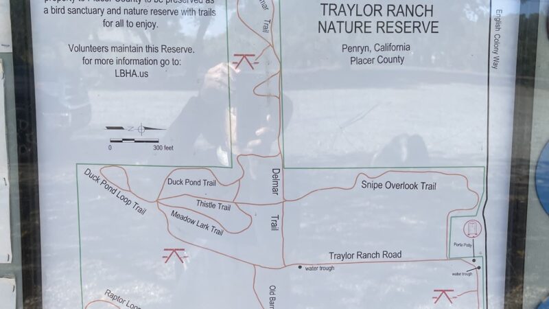 Traylor Ranch Bird Sanctuary And Nature Reserve - Penryn, CA