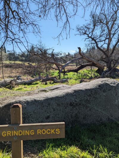 Traylor Ranch Bird Sanctuary And Nature Reserve - Penryn, CA