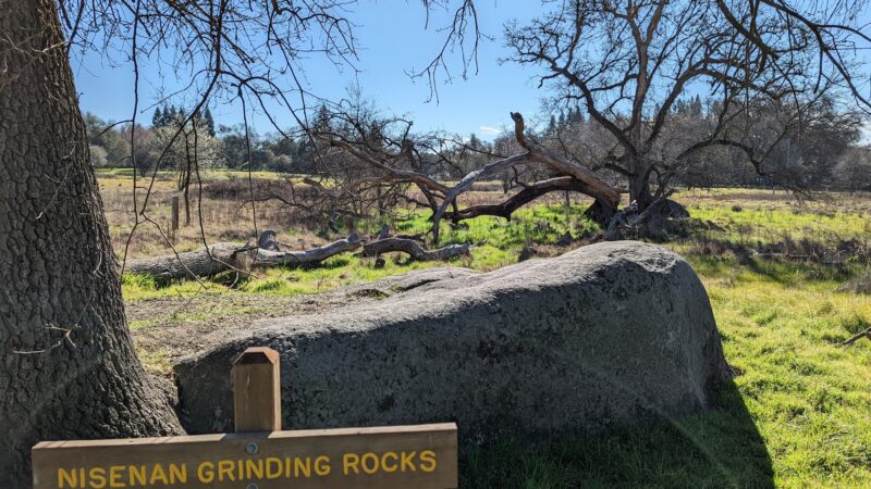Traylor Ranch Bird Sanctuary And Nature Reserve - Penryn, CA