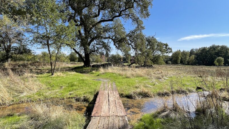 Traylor Ranch Bird Sanctuary And Nature Reserve - Penryn, CA