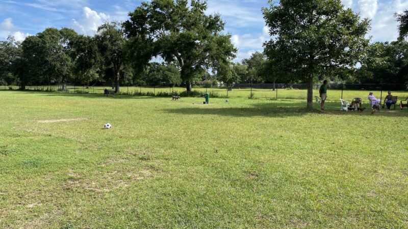 "Bark Park" Dog Park - Pensacola, FL