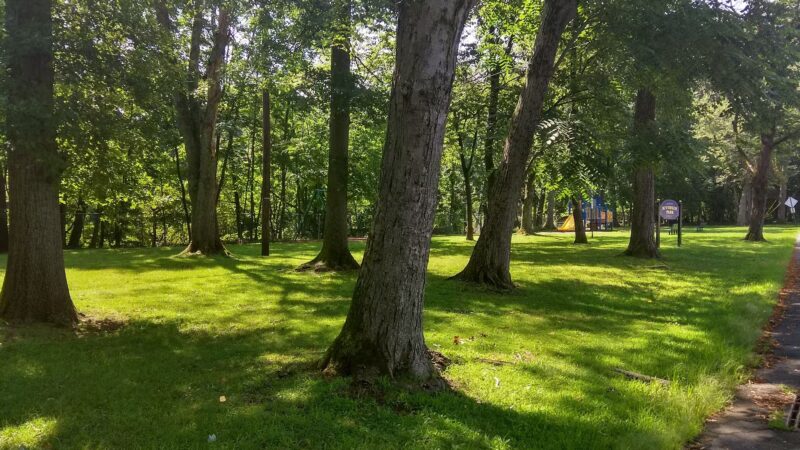 Riverside Park - Pequannock Township, NJ